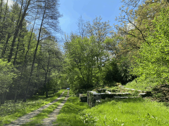 Pozemek 🏡 Prodej rozsáhlých rekreačních pozemků se stavbami v přírodě – Blažim nad Vltavou Pozemek 🏡 Prodej rozsáhlých rekreačních pozemků se stavbami v přírodě – Blažim nad Vltavou