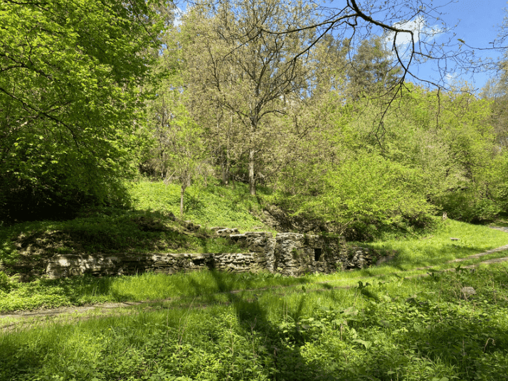 Pozemek 🏡 Prodej rozsáhlých rekreačních pozemků se stavbami v přírodě – Blažim nad Vltavou Pozemek 🏡 Prodej rozsáhlých rekreačních pozemků se stavbami v přírodě – Blažim nad Vltavou