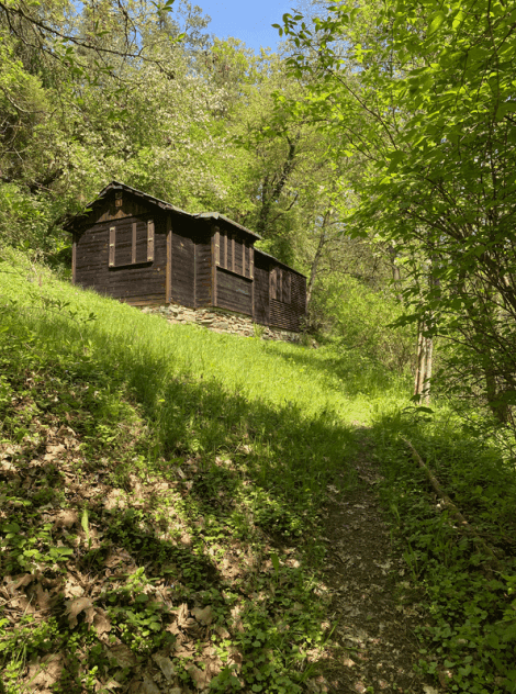Pozemek 🏡 Prodej rozsáhlých rekreačních pozemků se stavbami v přírodě – Blažim nad Vltavou Pozemek 🏡 Prodej rozsáhlých rekreačních pozemků se stavbami v přírodě – Blažim nad Vltavou