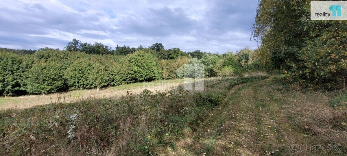 Pozemek Na prodej pozemek určený k výstavbě rekreačních staveb, chat - Písek | Bazoš.cz Pozemek Na prodej pozemek určený k výstavbě rekreačních staveb, chat - Písek | Bazoš.cz