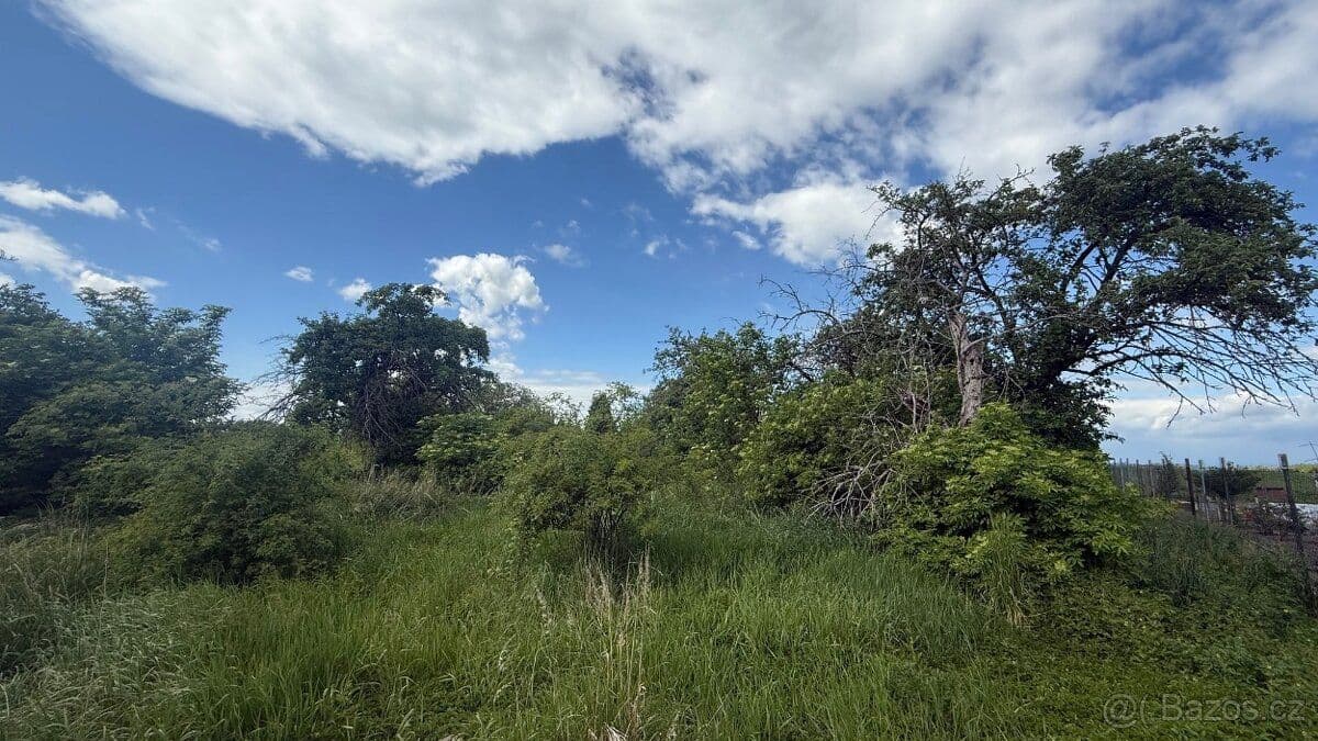 Pozemek Rovinatý stavební pozemek v Lužci nad Cidlinou - Hradec Králové | Bazoš.cz Pozemek Rovinatý stavební pozemek v Lužci nad Cidlinou - Hradec Králové | Bazoš.cz