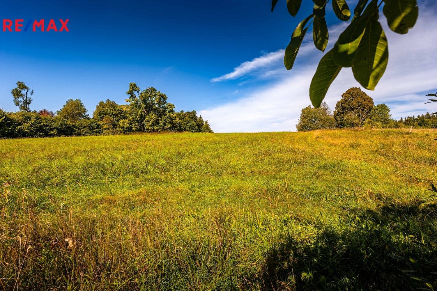 Pozemek Prodej stavebního pozemku 2 962 m² Pozemek Prodej stavebního pozemku 2 962 m²