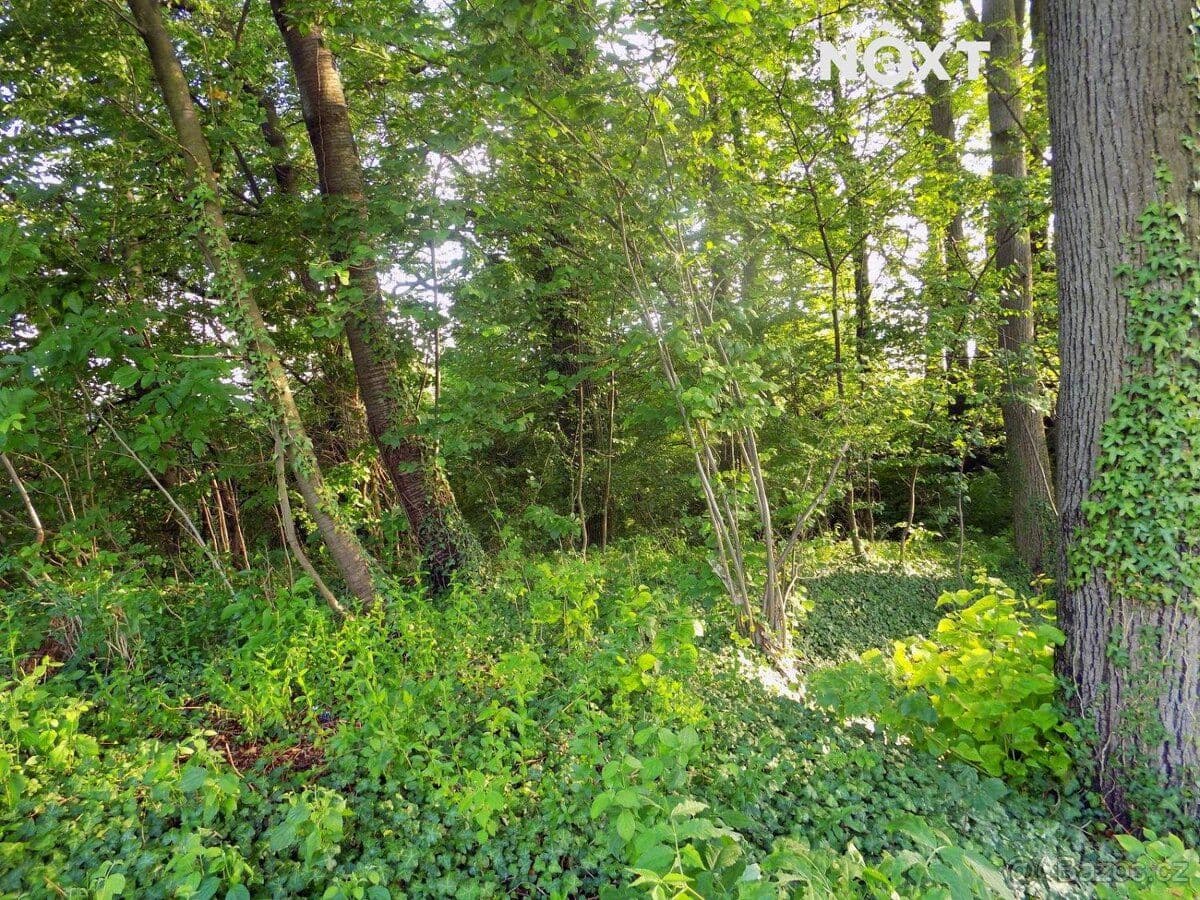 Pozemek Prodej pozemek Bydlení - Jeseník | Bazoš.cz Pozemek Prodej pozemek Bydlení - Jeseník | Bazoš.cz