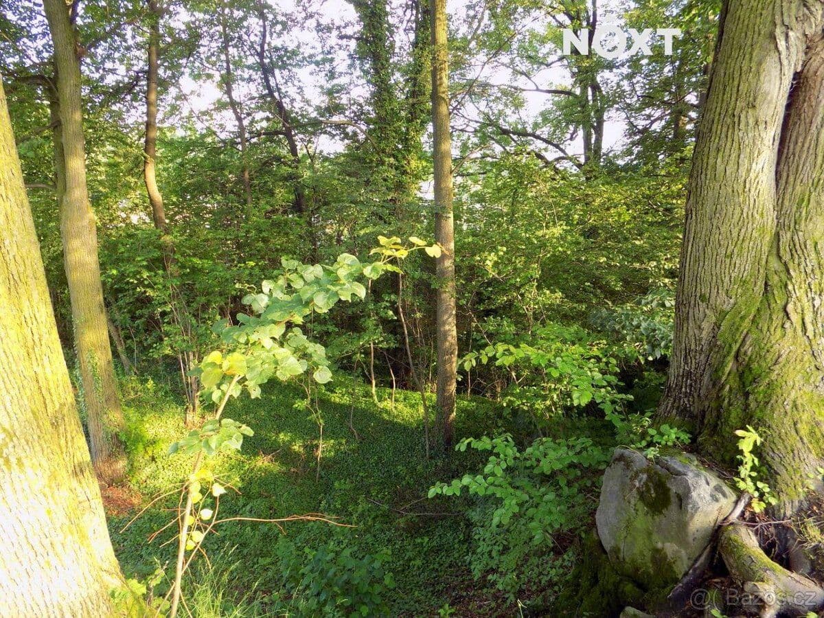 Pozemek Prodej pozemek Bydlení - Jeseník | Bazoš.cz Pozemek Prodej pozemek Bydlení - Jeseník | Bazoš.cz