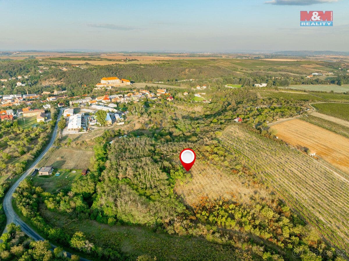 Pozemek Prodej vinice v Dolních Kounicích - Brno venkov | Bazoš.cz Pozemek Prodej vinice v Dolních Kounicích - Brno venkov | Bazoš.cz