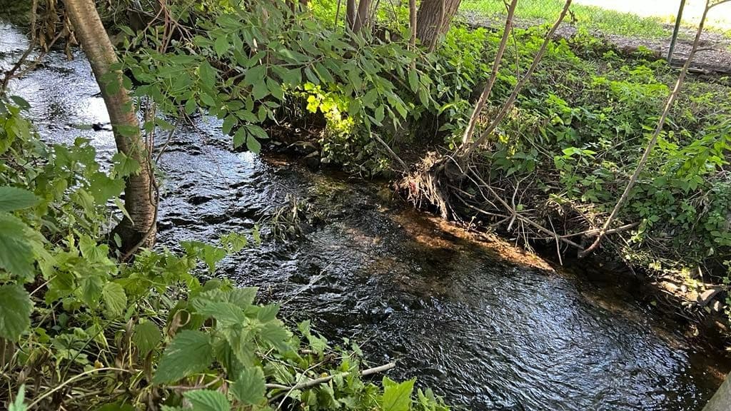 Pozemek 🌄 Prodej stavebního pozemku v Olšanech - Šumperk | Bazoš.cz Pozemek 🌄 Prodej stavebního pozemku v Olšanech - Šumperk | Bazoš.cz