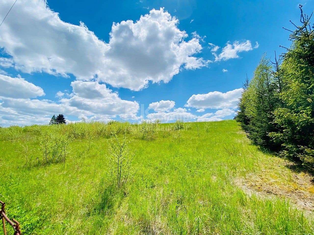 Pozemek Prodej stavebního pozemku 2 300 m² Pozemek Prodej stavebního pozemku 2 300 m²