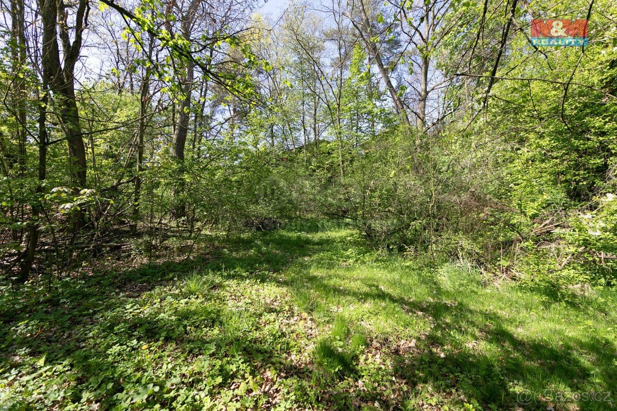 Pozemek Prodej pozemku k bydlení, 1256 m², Horšovský Týn - Domažlice | Bazoš.cz Pozemek Prodej pozemku k bydlení, 1256 m², Horšovský Týn - Domažlice | Bazoš.cz