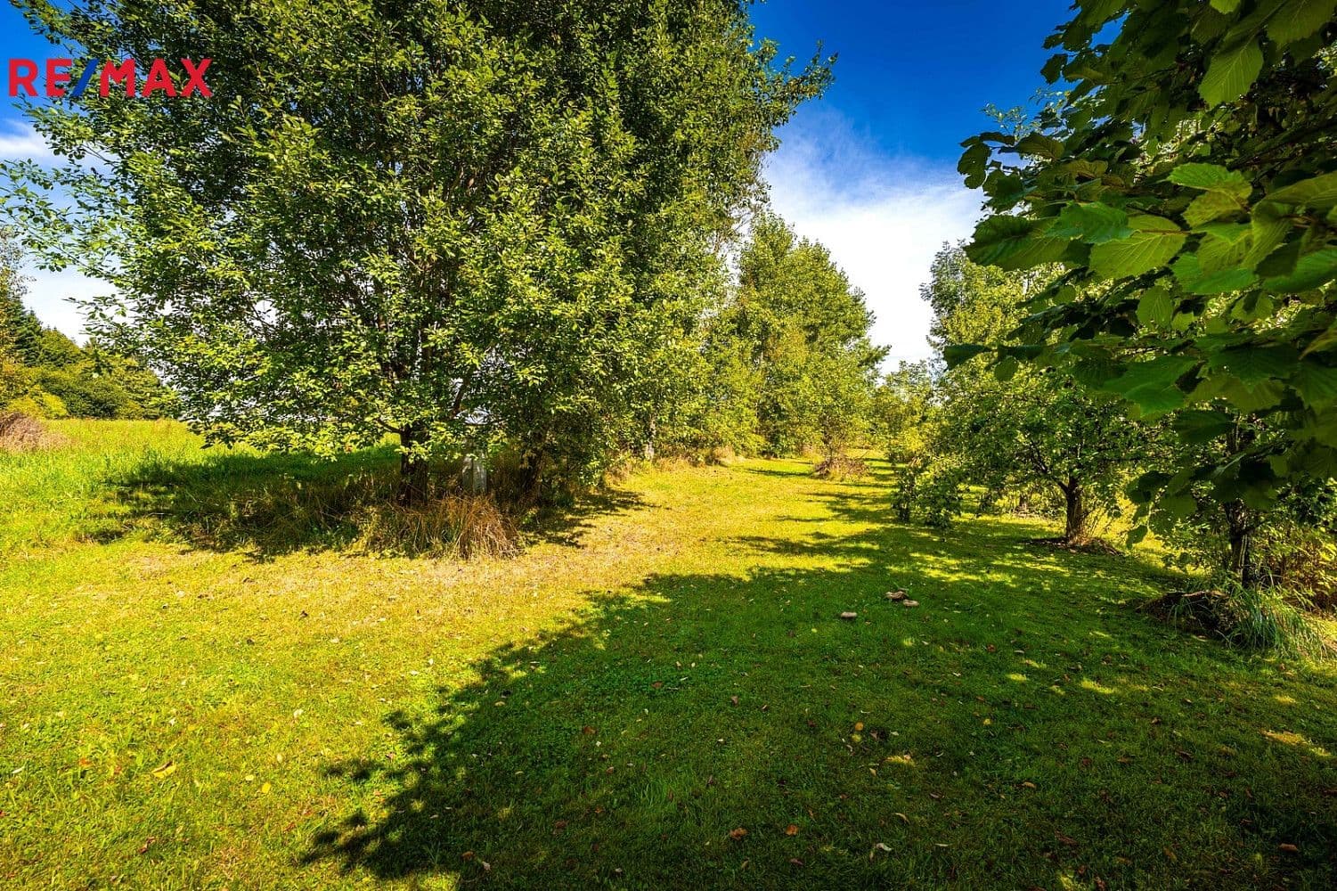 Pozemek Prodej stavebního pozemku 1 374 m² Pozemek Prodej stavebního pozemku 1 374 m²