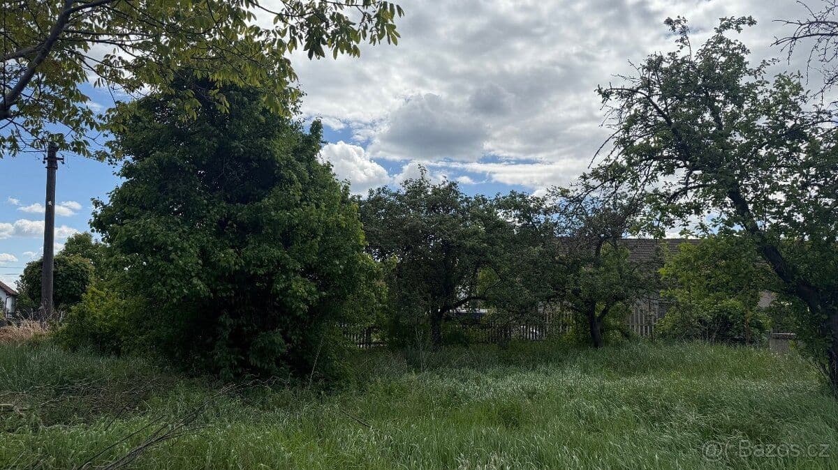 Pozemek Rovinatý stavební pozemek v Lužci nad Cidlinou - Hradec Králové | Bazoš.cz Pozemek Rovinatý stavební pozemek v Lužci nad Cidlinou - Hradec Králové | Bazoš.cz