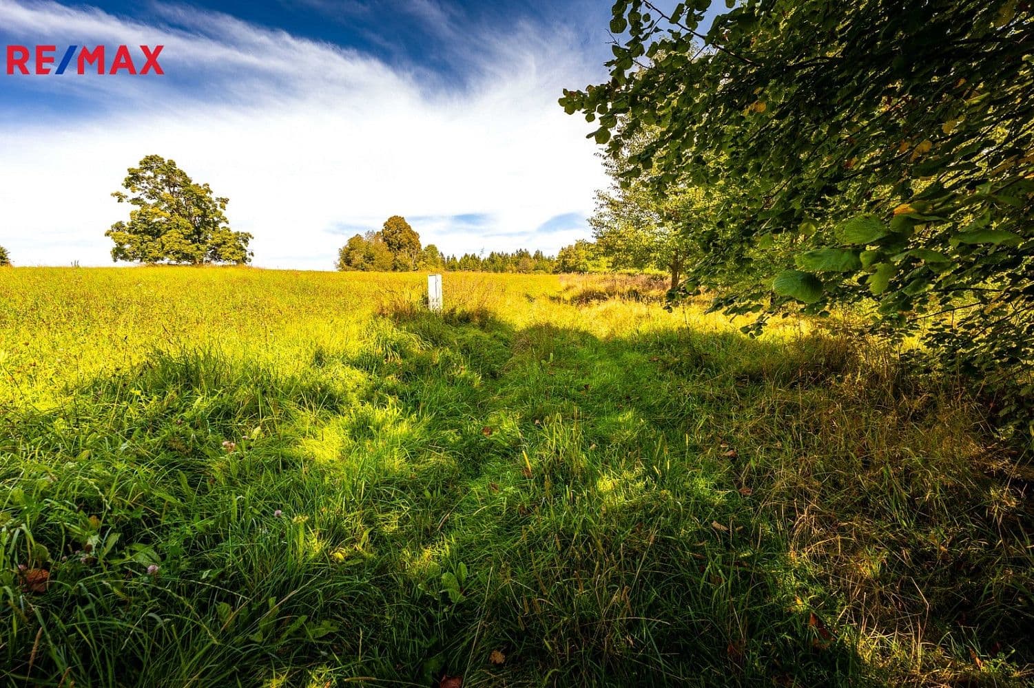 Pozemek Prodej stavebního pozemku 2 962 m² Pozemek Prodej stavebního pozemku 2 962 m²